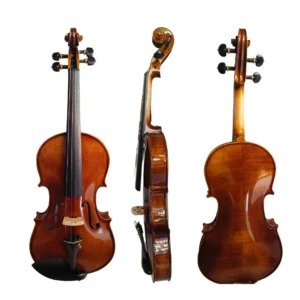 BIOLA VIOLINROOM VR02