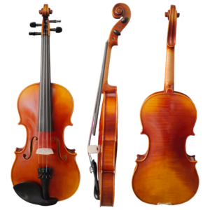 BIOLA SCOTTCAO STV 150