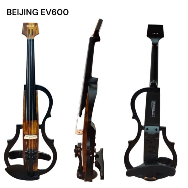 BIOLA BEIJING EV600